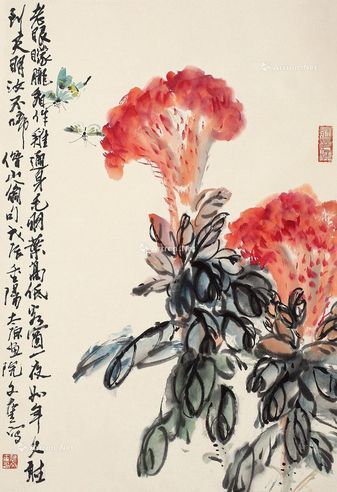裴文奎 鸡冠花