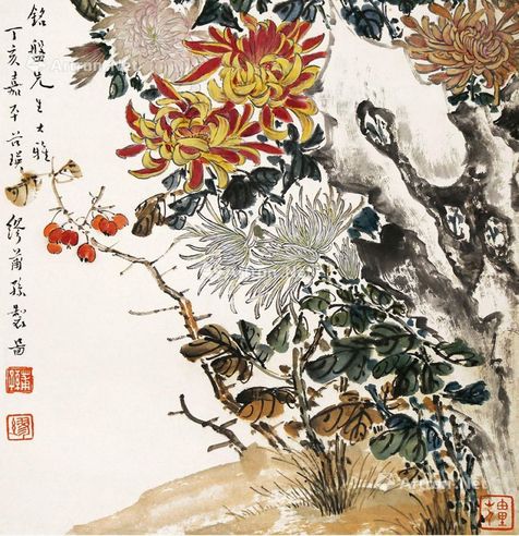 缪莆孙 菊花