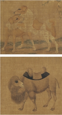 佚 名 双犬图 写生骆驼图
