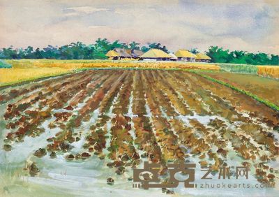 黄俊基 丰收之床 27×39cm