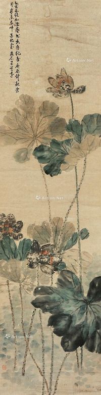 王道远 荷