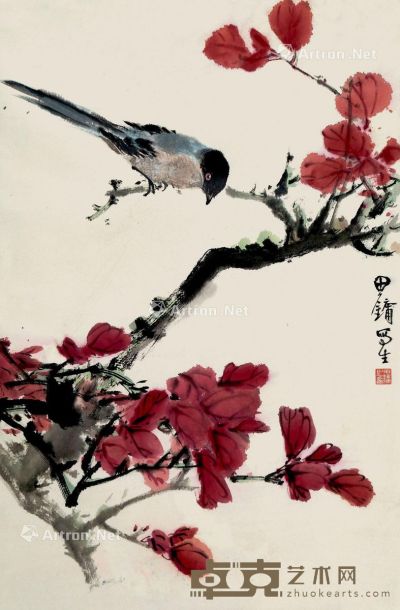 田镛 红树翠鸟 68×45cm