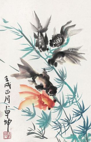 陈卓坤 金鱼