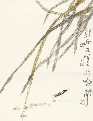 郭公元 蝼蛄