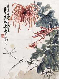 马万里 菊花