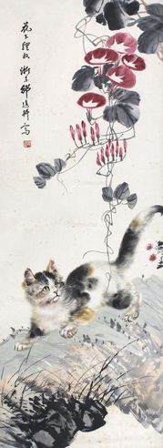 邵逸轩 猫