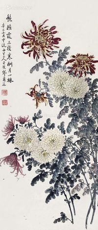 缪谷瑛 菊花