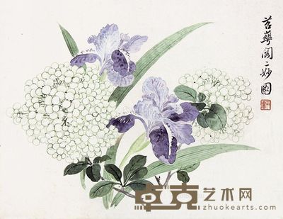 张大壮 花卉 33×25cm
