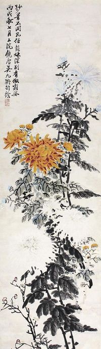 吴九 菊