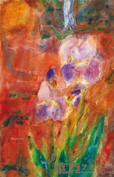 唐海文 兰花 57×37cm