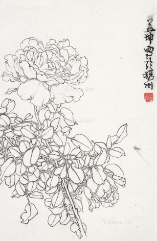 郑益坤 白描蔷薇