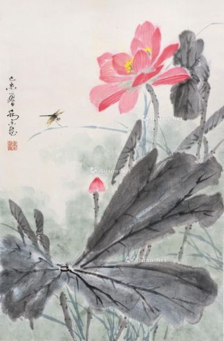 乔木 荷塘蜻蜓