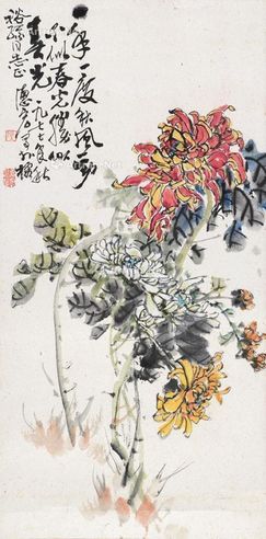 陈德宏 菊花