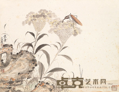 杨立奇 工笔虫草 32×41cm　约1.2平尺