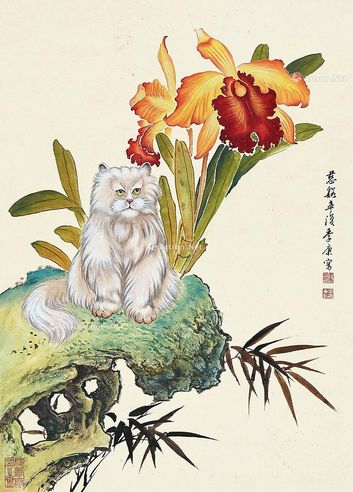 季康 猫