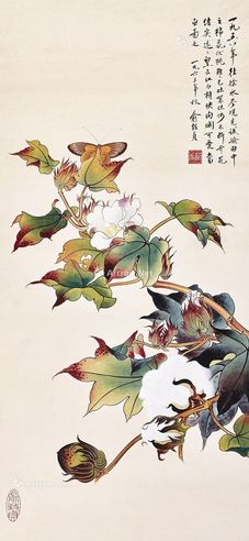 俞致贞 棉花