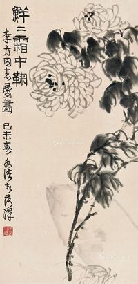 何水法 菊花