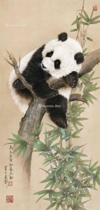 王生勇 熊猫