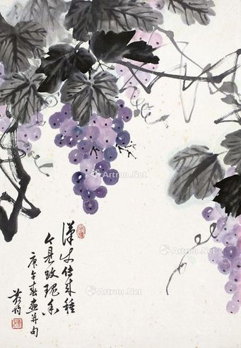 黄均 葡萄