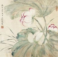 吴湖帆 荷花