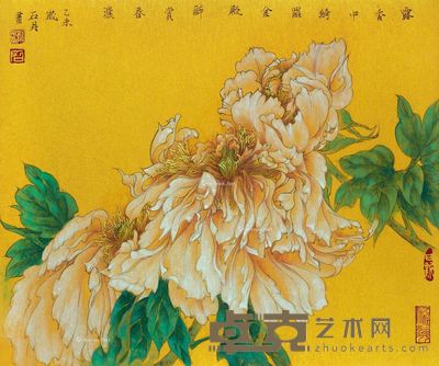 石丹 牡丹 38×45cm