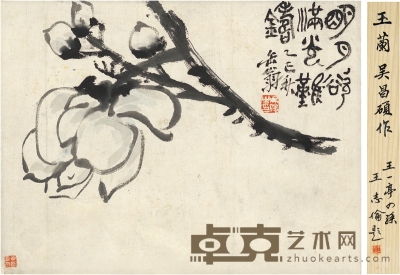 吴昌硕 玉兰图 29×21.5cm