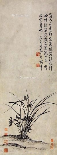 周天球 兰草