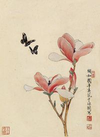 于非闇 蝶花