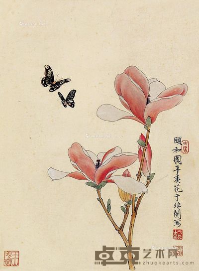 于非闇 蝶花 46×34cm