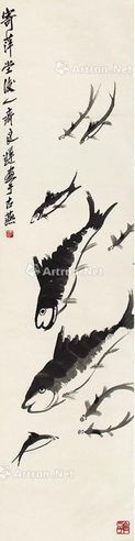 齐良迟 鱼