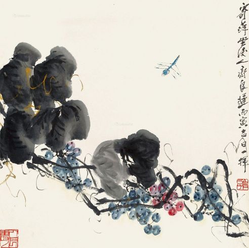 齐良迟 葡萄蜻蜓