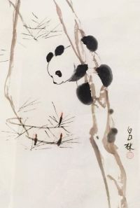 吕林 熊猫