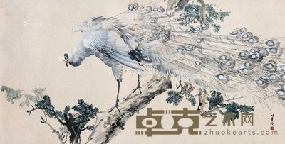 孔雀图 轴心 设色纸本 125.5×65cm