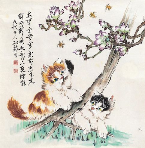 孙菊生 猫