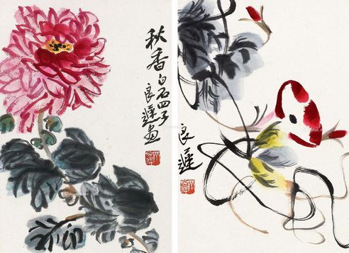 齐良迟 花卉