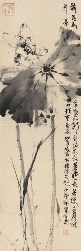 赵少昂 墨荷