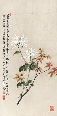 司徒奇 菊花