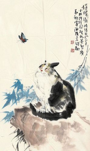 王纯祥 猫