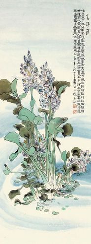 郑乃珖 花卉