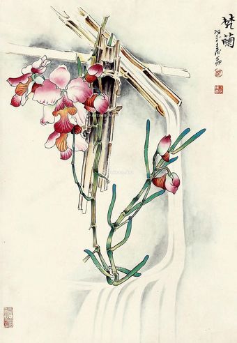 郑乃珖 花卉
