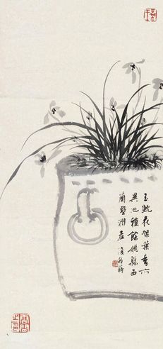 白蕉 兰花