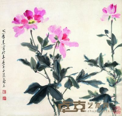 晏济元 芍药 51×48.5cm