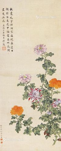 婉容 菊花