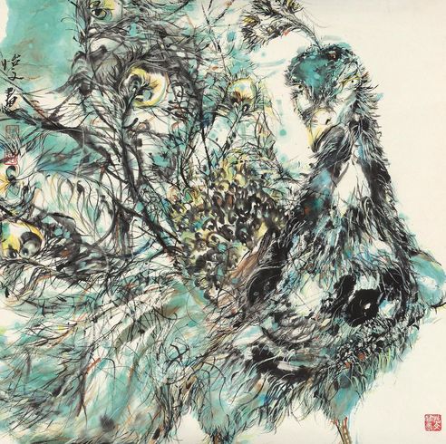 赵怡文 孔雀