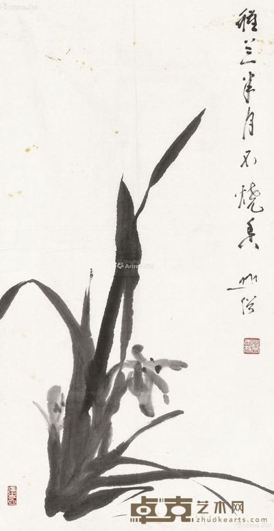 圆霖 兰花 66×34cm