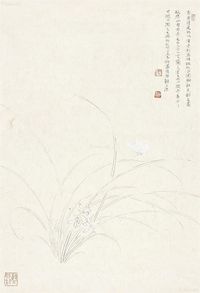 王法 兰花