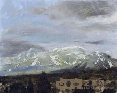 杨小彦 风景 纸板油画 40.5×50.5cm