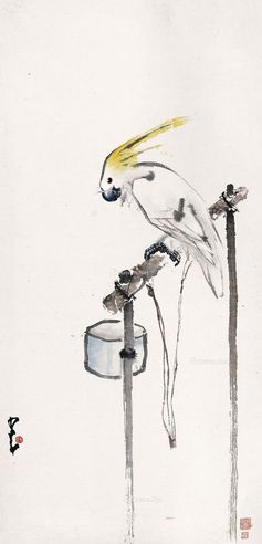 赵少昂 鹦鹉
