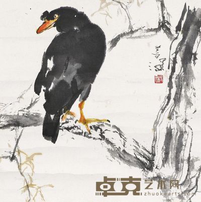 杨善深 八哥 34×34cm