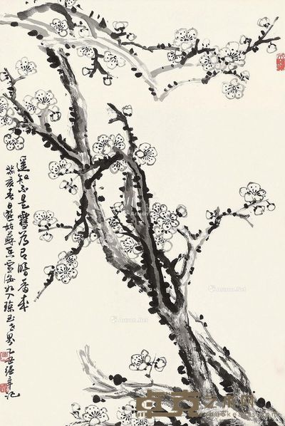 张强辛 暗香图 66×45cm